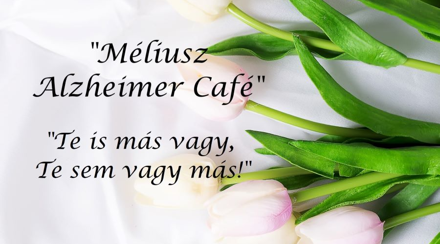 Meghívó: Méliusz Alzheimer Café