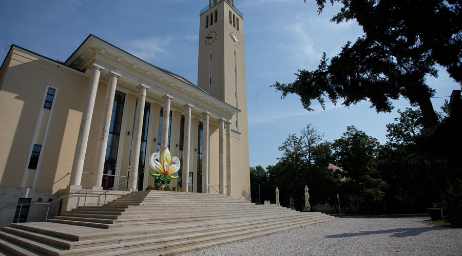 Életfa várja a betérőket az Élő Ige Évében a debreceni Egyetemi Templomnál