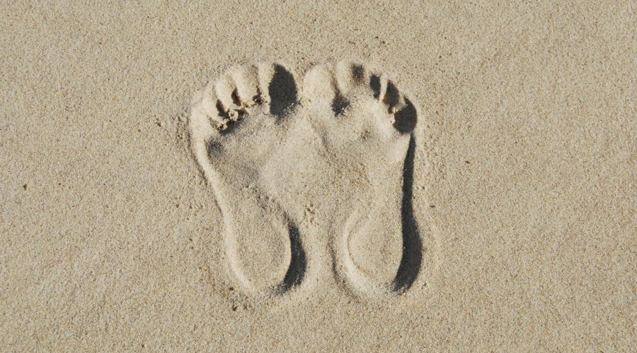 A múlandóság pora